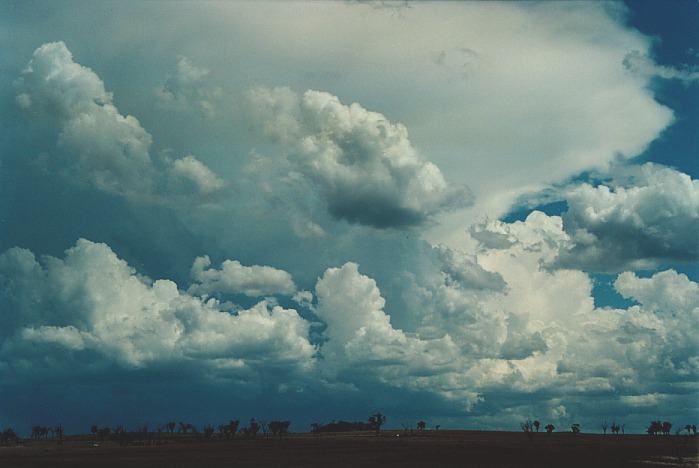 cumulonimbus thunderstorm_base : Muswellbrook, NSW   3 November 2000