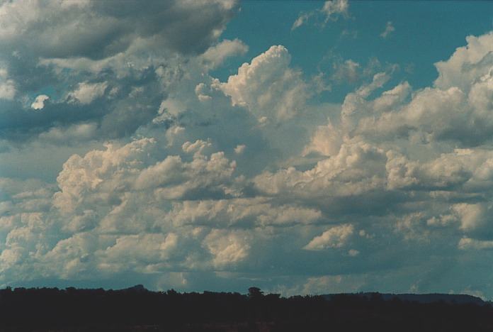 thunderstorm cumulonimbus_calvus : Muswellbrook, NSW   3 November 2000