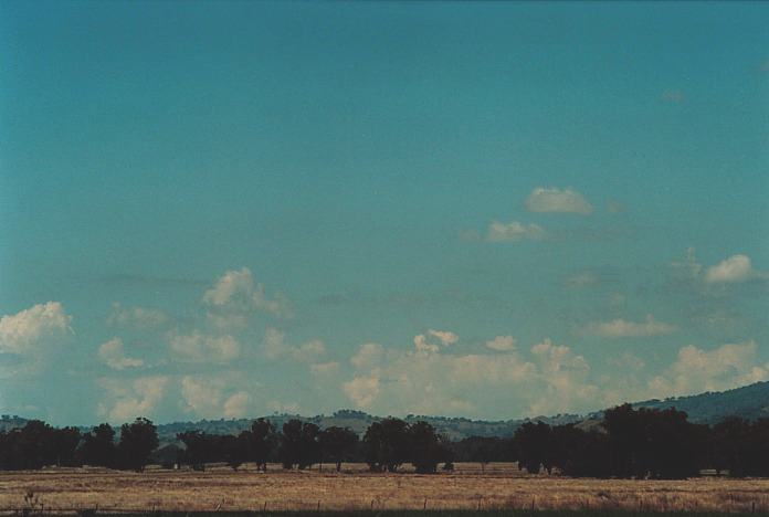 thunderstorm cumulonimbus_calvus : S of Bingara, NSW   4 November 2000