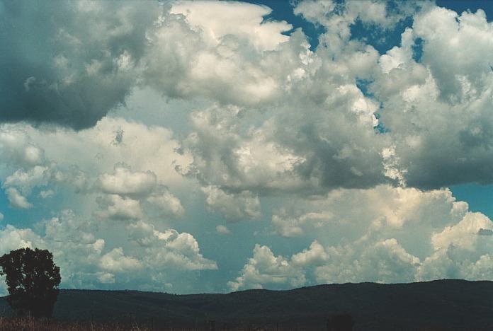 cumulus congestus : Bingara, NSW   4 November 2000