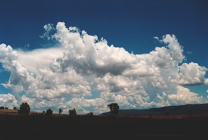 thunderstorm cumulonimbus_incus : Bingara, NSW   4 November 2000