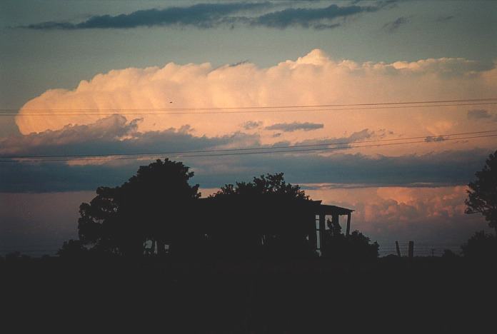 thunderstorm cumulonimbus_incus : Grafton, NSW   4 November 2000