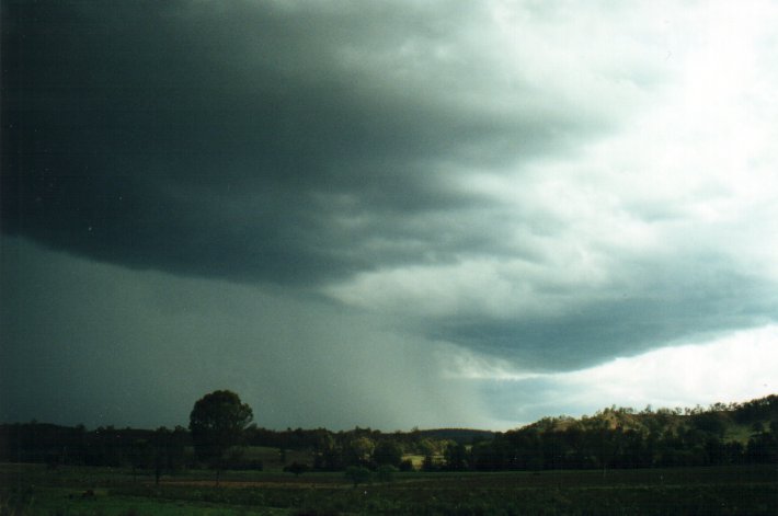 cumulonimbus thunderstorm_base : Richmond Range, NSW   4 November 2000