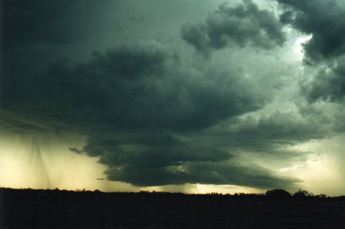 shelfcloud shelf_cloud : E of Casino, NSW   4 November 2000