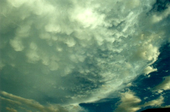 anvil thunderstorm_anvils : McLeans Ridges, NSW   4 November 2000