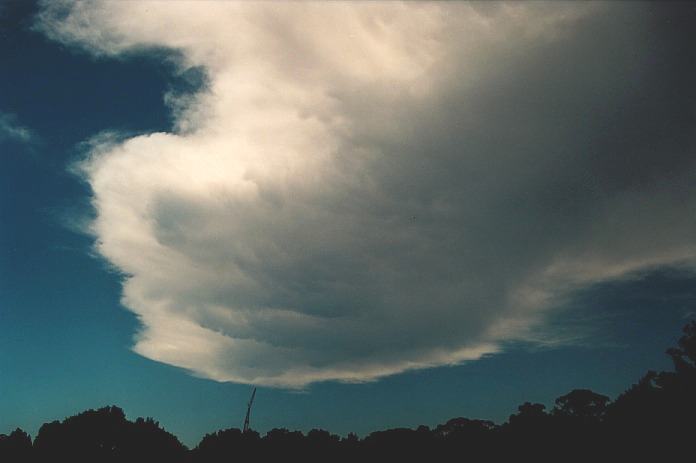 anvil thunderstorm_anvils : Coffs Harbour, NSW   5 November 2000