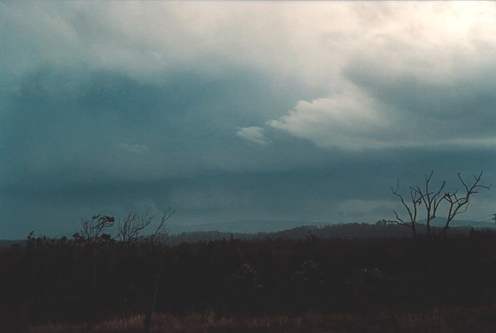 inflowband thunderstorm_inflow_band : Corindi Beach, NSW   5 November 2000