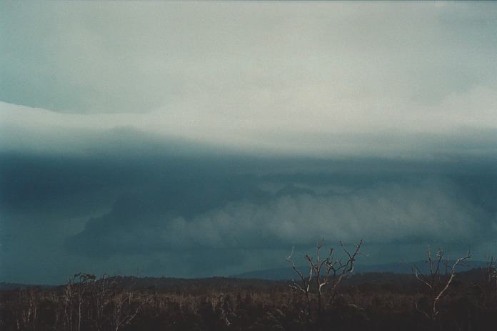 wallcloud thunderstorm_wall_cloud : Corindi Beach, NSW   5 November 2000