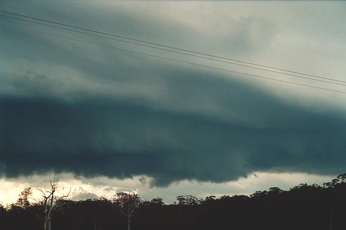 wallcloud thunderstorm_wall_cloud : Corindi, NSW   5 November 2000