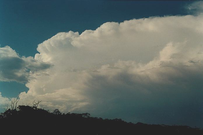 thunderstorm cumulonimbus_incus : Corindi Beach, NSW   5 November 2000