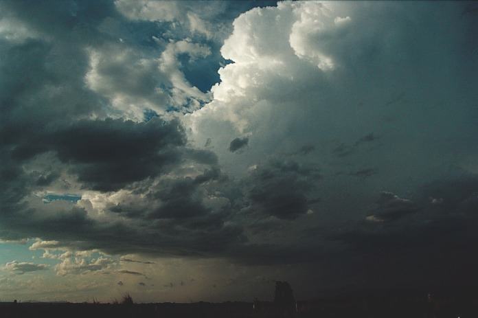 updraft thunderstorm_updrafts : N of Kempsey, NSW   5 November 2000