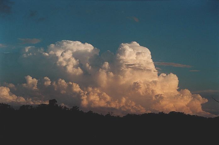 thunderstorm cumulonimbus_calvus : S of Port Macquarie, NSW   5 November 2000