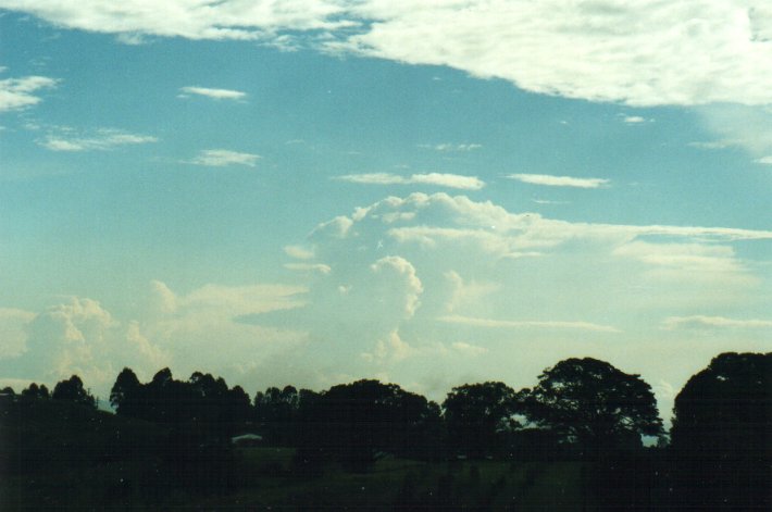 thunderstorm cumulonimbus_incus : McLeans Ridges, NSW   5 November 2000