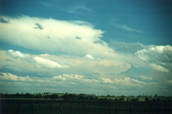 cumulonimbus supercell_thunderstorm : N of Casino, NSW   5 November 2000