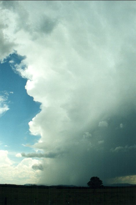 thunderstorm cumulonimbus_incus : N of Casino, NSW   5 November 2000