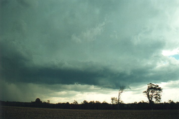 cumulonimbus thunderstorm_base : S of Kyogle, NSW   5 November 2000