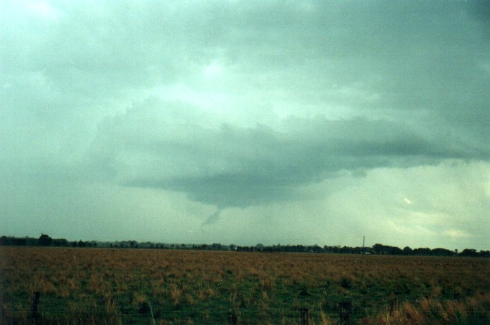 wallcloud thunderstorm_wall_cloud : S of Kyogle, NSW   5 November 2000