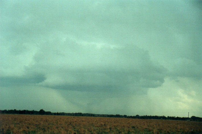 wallcloud thunderstorm_wall_cloud : S of Kyogle, NSW   5 November 2000