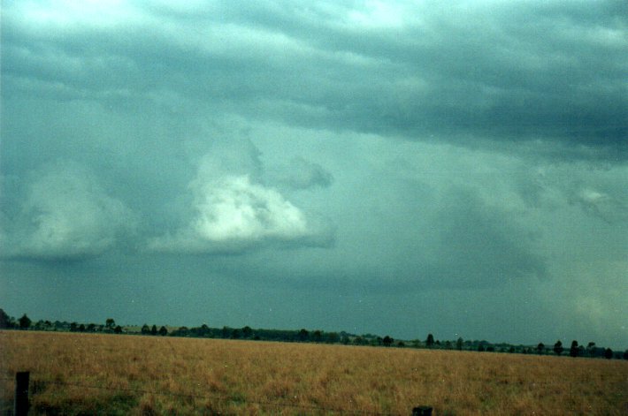 cumulonimbus thunderstorm_base : S of Kyogle, NSW   5 November 2000