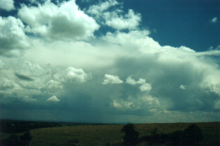 cumulus humilis : Parrots Nest, NSW   6 November 2000