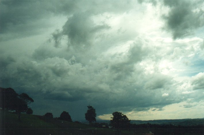 cumulonimbus thunderstorm_base : McLeans Ridges, NSW   6 November 2000