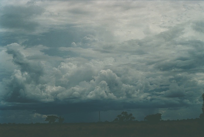 cumulonimbus thunderstorm_base : Bourke, NSW   19 November 2000