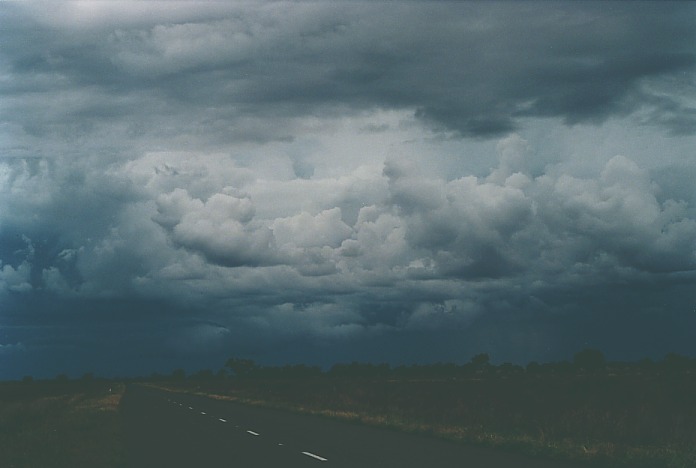 cumulonimbus thunderstorm_base : Bourke, NSW   19 November 2000