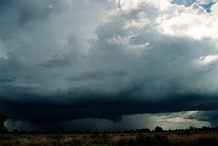 thunderstorm cumulonimbus_incus : Bourke, NSW   19 November 2000