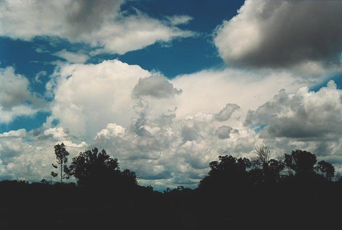 cumulus congestus : 40km E of Charleville, Qld   20 November 2000