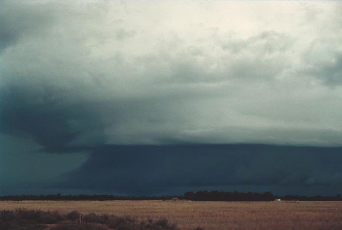 shelfcloud shelf_cloud : W of Chinchilla, Qld   20 November 2000