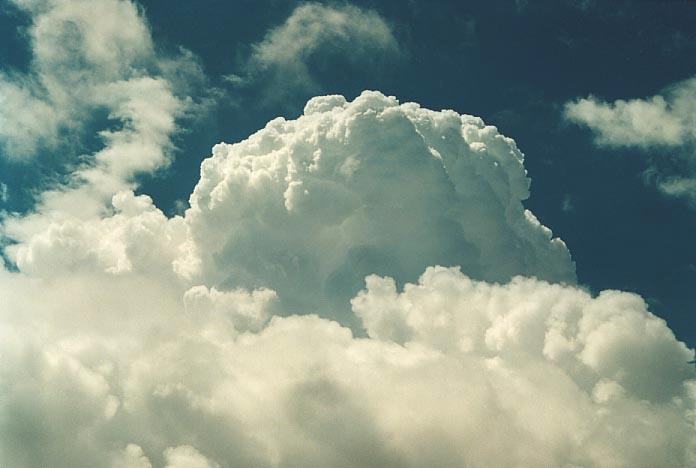 thunderstorm cumulonimbus_calvus : Chinchilla, Qld   21 November 2000