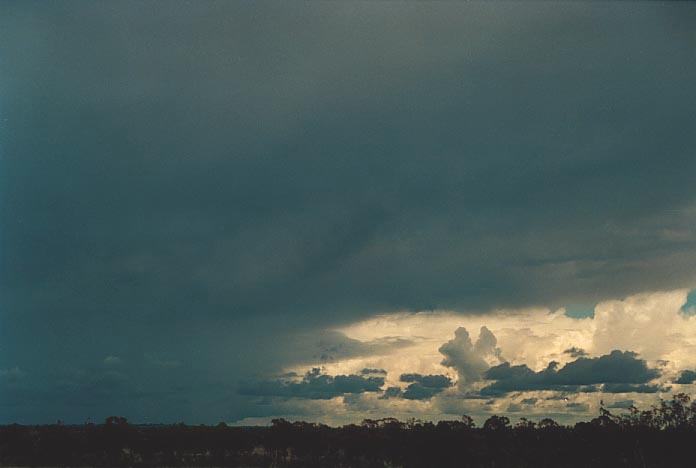 cumulonimbus thunderstorm_base : 50km N of Miles, Qld   21 November 2000