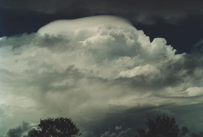 pileus pileus_cap_cloud : Taroom, Qld   21 November 2000