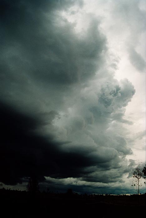 cumulonimbus thunderstorm_base : near Taroom, Qld   21 November 2000