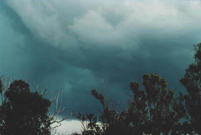 cumulonimbus thunderstorm_base : Banana, Qld   21 November 2000