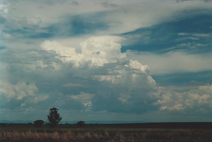 pileus pileus_cap_cloud : Breeza, NSW   29 November 2000