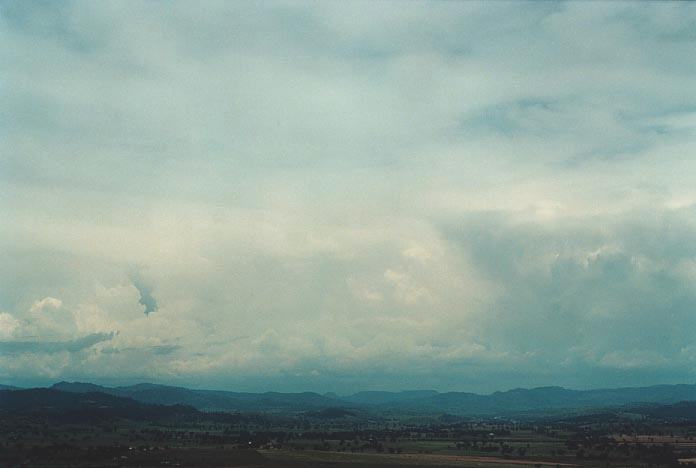 thunderstorm cumulonimbus_calvus : Quirindi lookout, NSW   29 November 2000