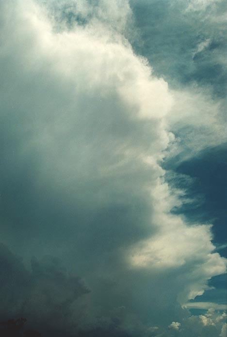 anvil thunderstorm_anvils : W of Quirindi, NSW   29 November 2000