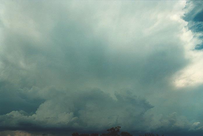 cumulonimbus thunderstorm_base : W of Quirindi, NSW   29 November 2000