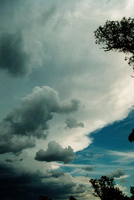 anvil thunderstorm_anvils : W of Quirindi, NSW   29 November 2000