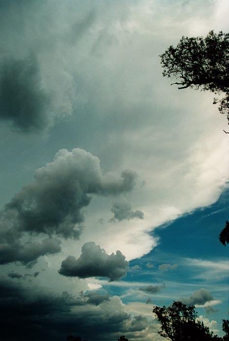 cumulonimbus thunderstorm_base : W of Quirindi, NSW   29 November 2000