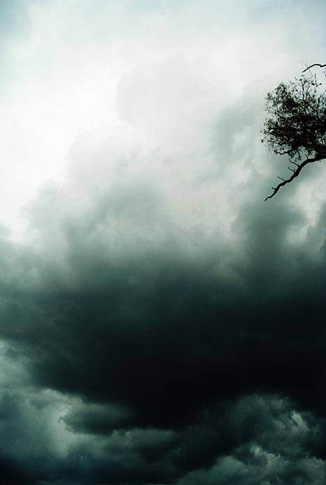 cumulonimbus thunderstorm_base : W of Quirindi, NSW   29 November 2000