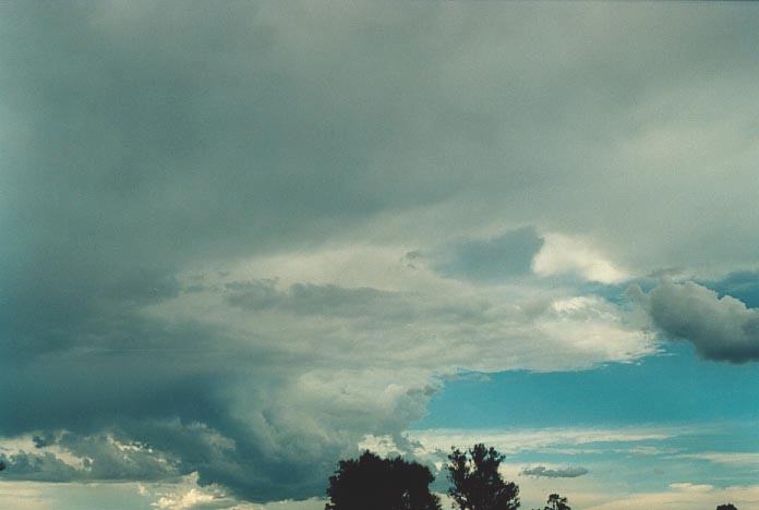 anvil thunderstorm_anvils : NW of Singleton, NSW   30 November 2000