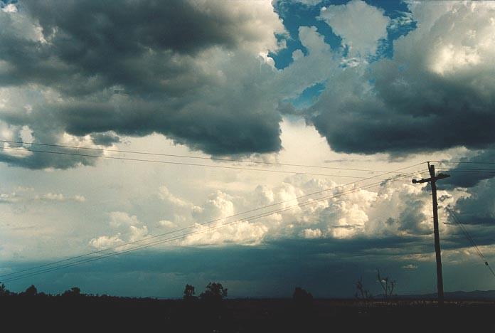 thunderstorm cumulonimbus_calvus : NW of Singleton, NSW   30 November 2000