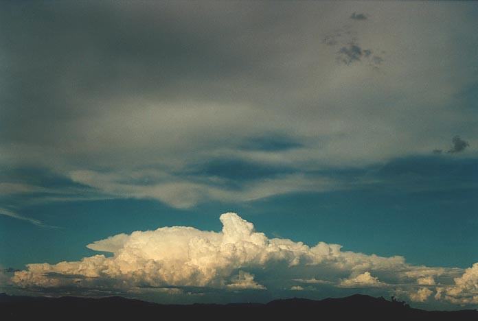 anvil thunderstorm_anvils : NW of Singleton, NSW   30 November 2000