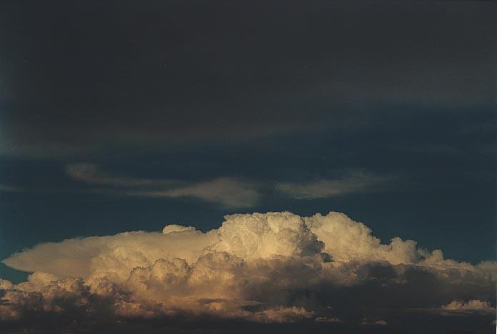 thunderstorm cumulonimbus_calvus : NW of Singleton, NSW   30 November 2000