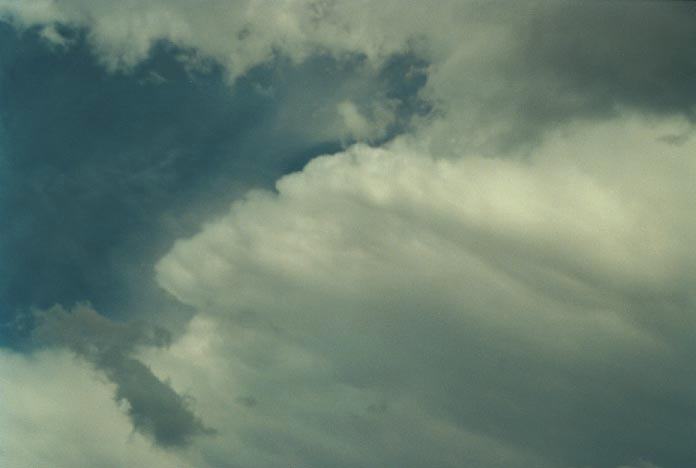 anvil thunderstorm_anvils : N of Jerrys Plains, NSW   6 December 2000