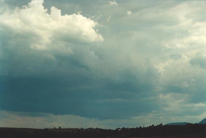 cumulonimbus thunderstorm_base : N of Jerrys Plains, NSW   6 December 2000