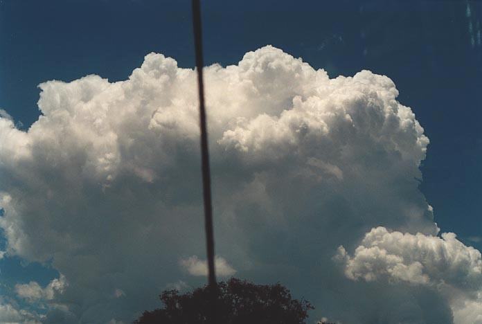 thunderstorm cumulonimbus_calvus : W of Walcha NSW   7 December 2000