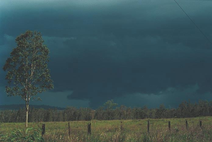 cumulonimbus supercell_thunderstorm : N of Grafton, NSW   8 December 2000